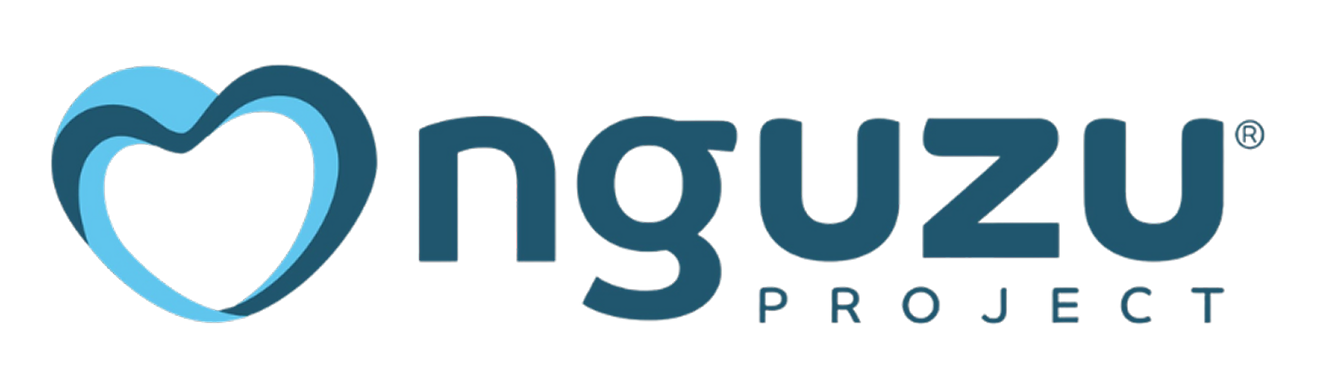 Nguzu Project